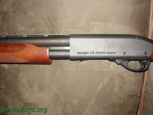 Remington+870+express+magnum+20+ga