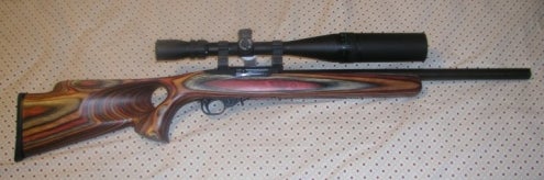 Rifles Ruger 10-22 Varmint Rifle