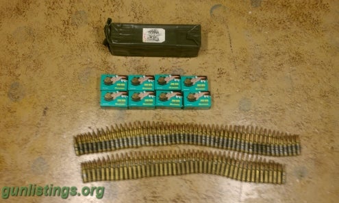 Ammo .308 Ammo