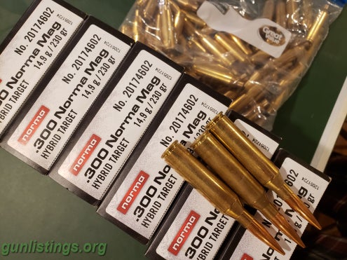 Ammo 300 Norma Mag Ammo Plus Brass