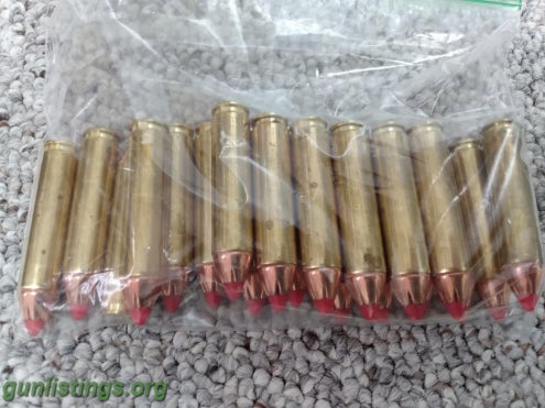 Ammo 45 Raptor Ammo