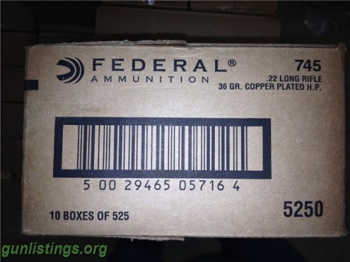 Ammo Buying 22LR Ammo By The Case $30/brick