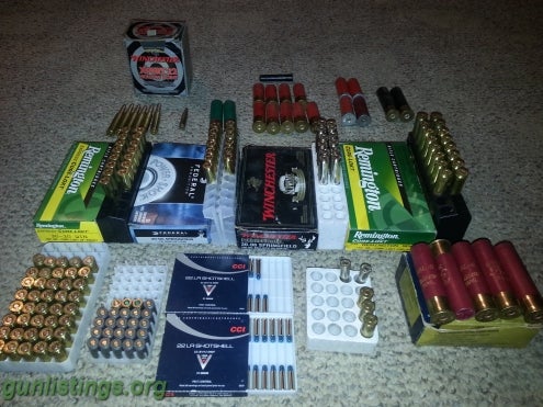 Ammo Lot Of Ammo