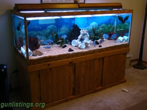 180 Gallon Aquarium Complete Setup in columbus, Ohio gun classifieds ...