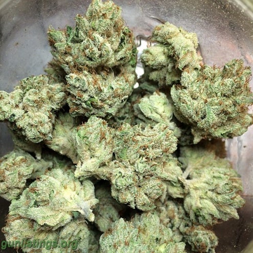 Misc Top Shelf Medical Marijuana Strains.Good Nose/great Fla