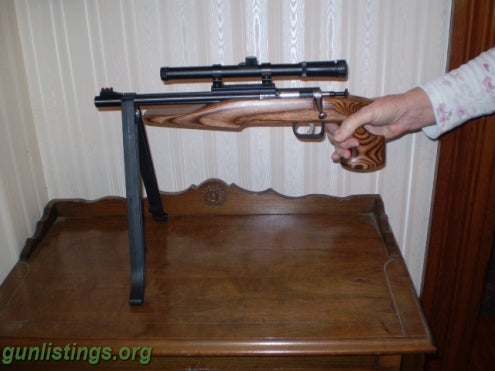 CHIPMUNK 22LR PISTOL. LAMINATE STOCK WITH EXTRAS in joplin, Missouri