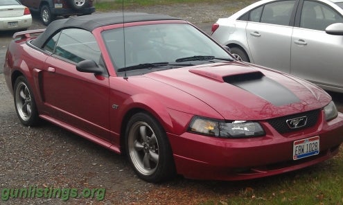 Rifles 03 Mustang GT For Your Collection