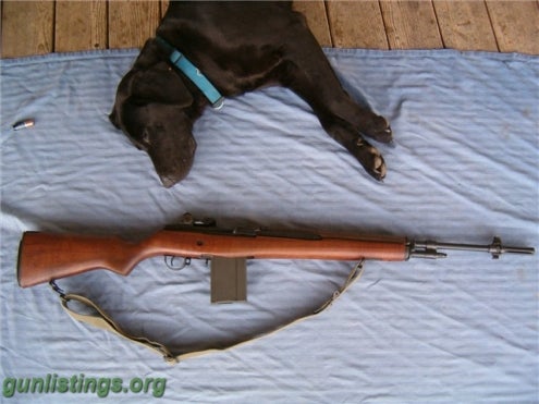 Rifles FAMILY WEAPON M1A M14 SPRINGFIELD ARMORY