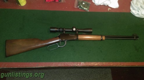 Rifles Henry 22 LR H001 With Bushnell Scope