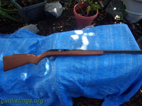 Rifles Marlin Model 60  1986  22lr.