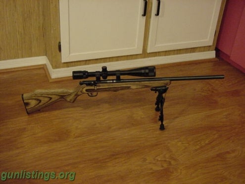 SAVAGE .22 TARGET RIFLE COMPLETE PACKAGE in ft myers / SW florida ...