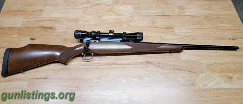 Rifles Savage Model 110 .243 Win. - Wood Stock