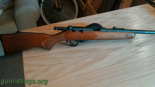 Rifles Youth Model 22