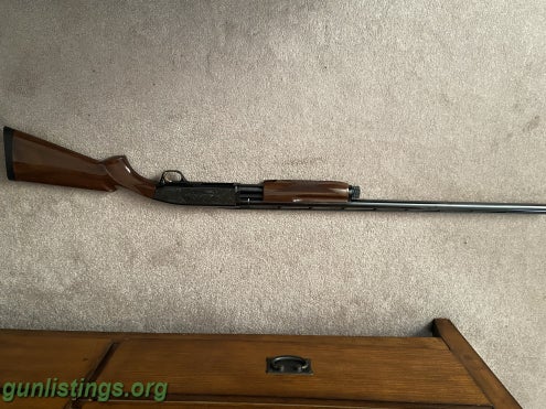 Browning Gold Trigger 12 Gauge Shotgun In Lansing, Michigan Gun 