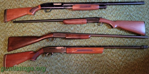 Shotguns Old Shotguns And .22 Rifles