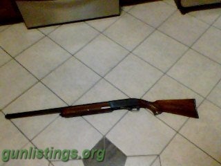 Shotguns Winchester 1100