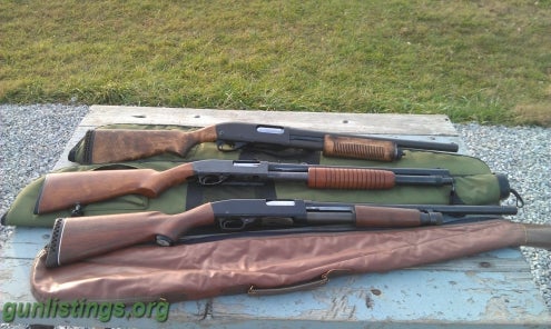 Shotguns Winchester 1200/sears 200 12 Ga 20