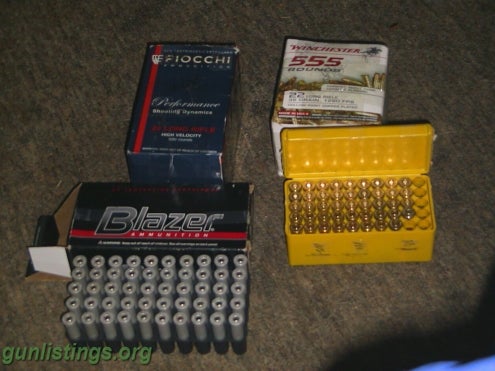 Ammo .22 LONG  RIFLE SHELLS