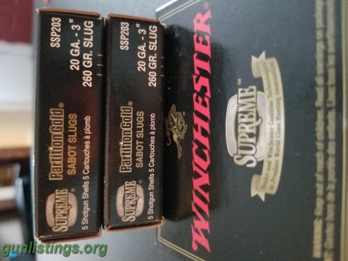 Ammo 20ga Sabot Slugs