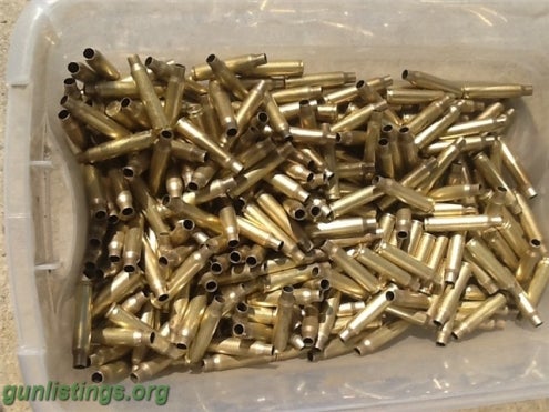 Ammo 223 / 5.56mm Brass