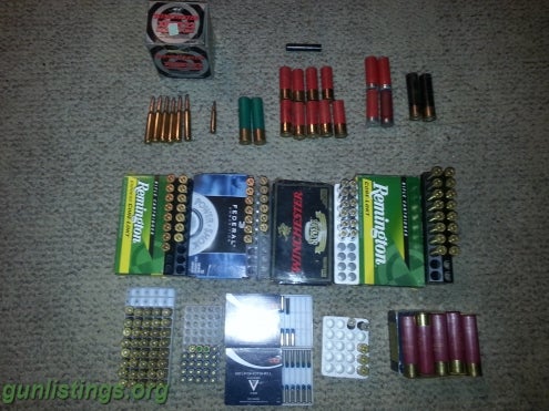 Ammo Lot Of Ammo