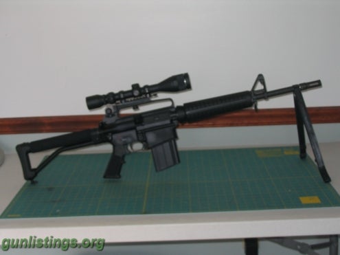 Rifles BUSHMASTER AR 10 (308)