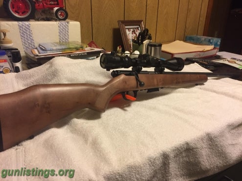 Rifles Ruger 10/22 22lr With Williams Peep Sights