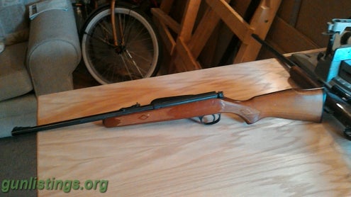 Rifles Youth Model 22