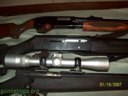 Shotguns Guns For Sale.