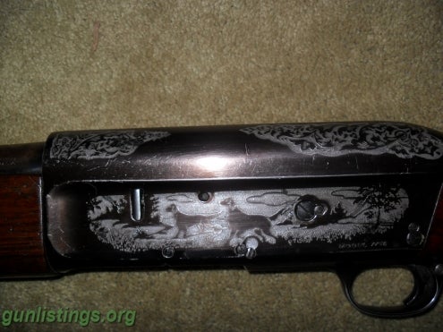 Shotguns Savage 16 Gauge Semi-auto Shotgun