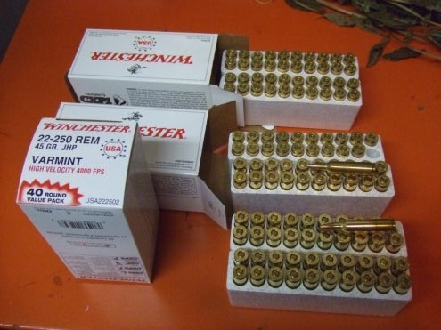 Ammo 22-250 Ammo