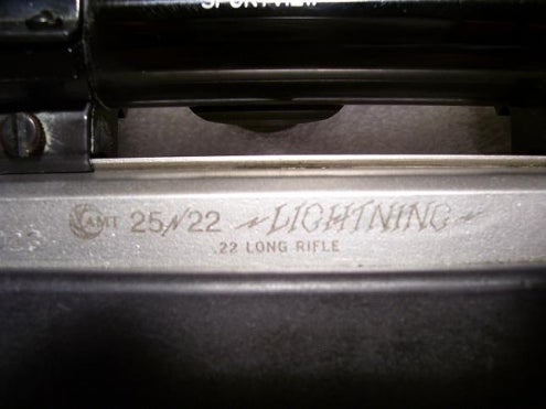 Rifles AMT Lightning