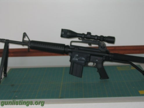 Rifles BUSHMASTER AR 10 (308)