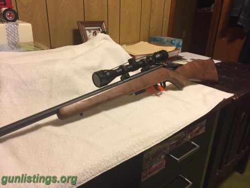 Rifles Ruger 10/22 22lr With Williams Peep Sights