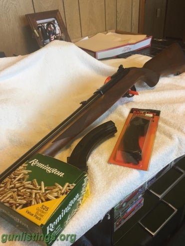 Rifles Ruger 10/22 22lr With Williams Peep Sights