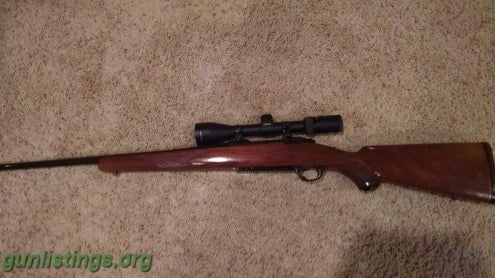 Rifles Ruger M77 .243 Rifle