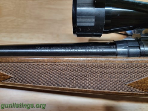 Rifles Savage Model 110 .243 Win. - Wood Stock