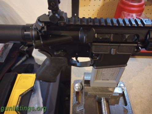 Rifles Sig 556 Piston Build