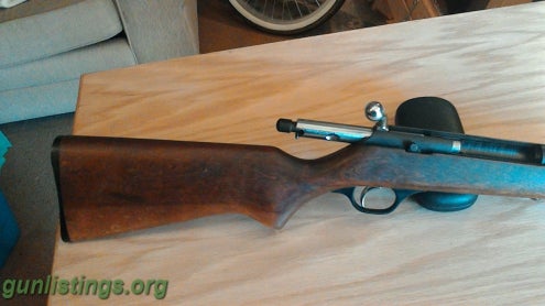 Shotguns 410 Shotgun