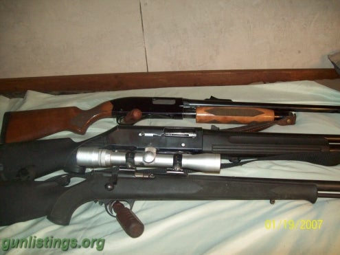 Shotguns Guns For Sale.