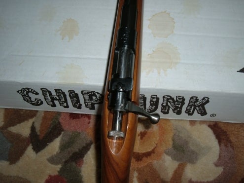 Rifles Chipmunk .22 Youth Rifle By Rogue