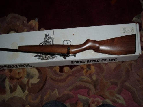 Rifles Chipmunk .22 Youth Rifle By Rogue