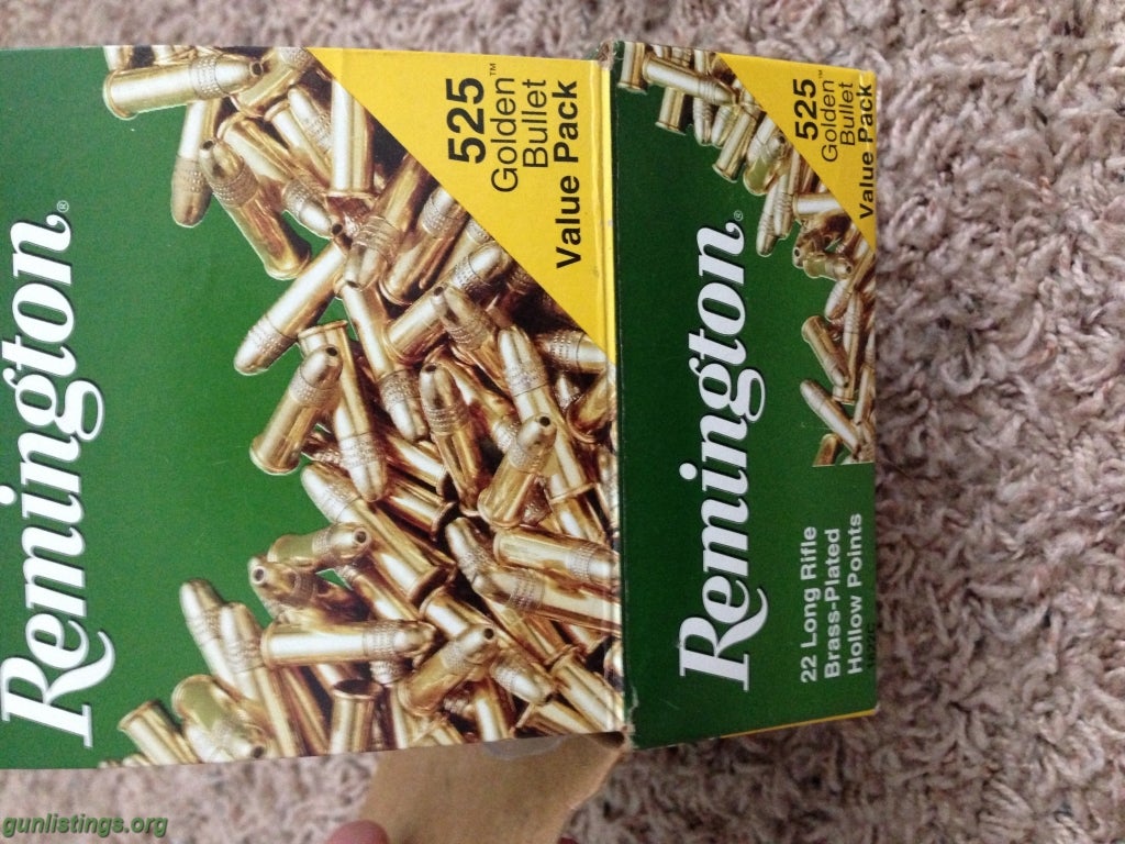 Ammo .22lr Ammo