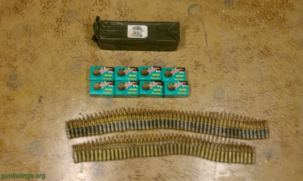 Ammo .308 Ammo