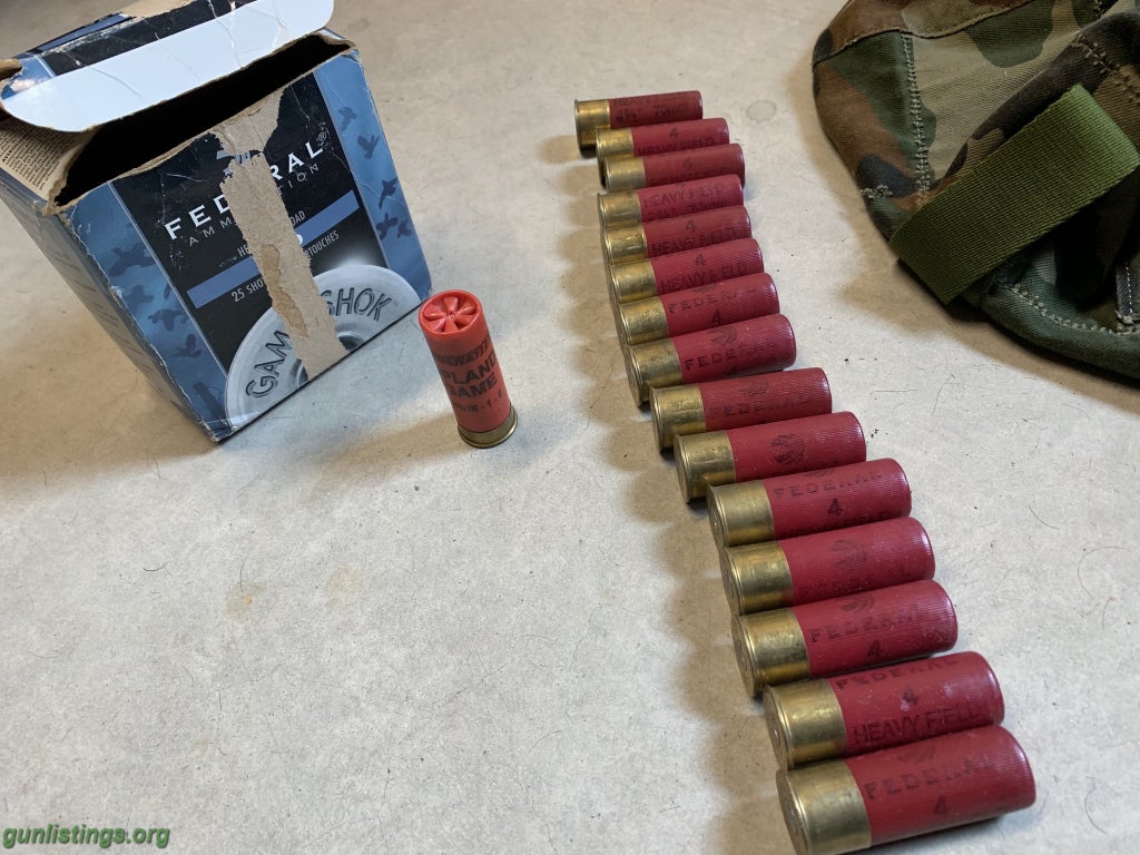 Ammo 12 Ga. Shells