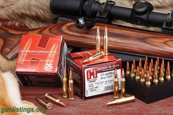 Ammo 17 Hornet Hornady Ammo