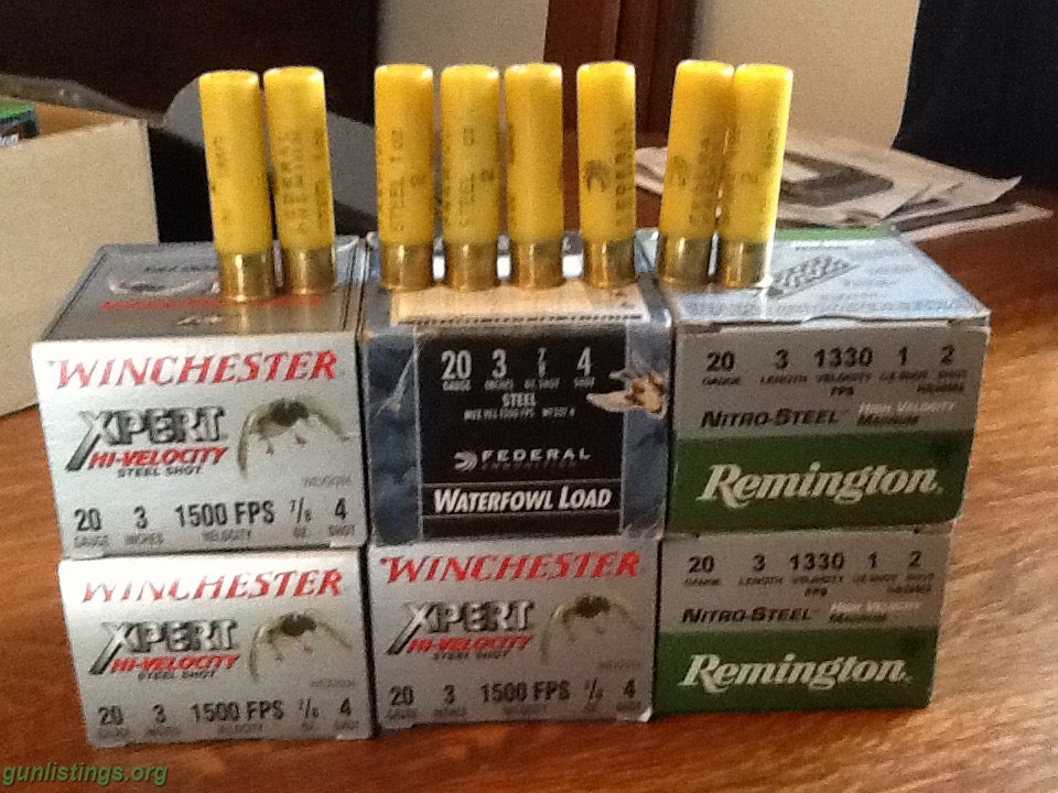 Ammo 20ga Steel Shot   FS/FT