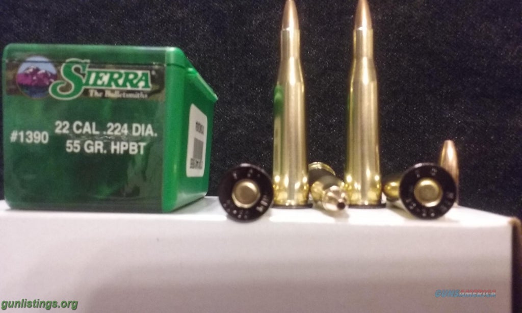 Ammo 219 Zipper Ammo.