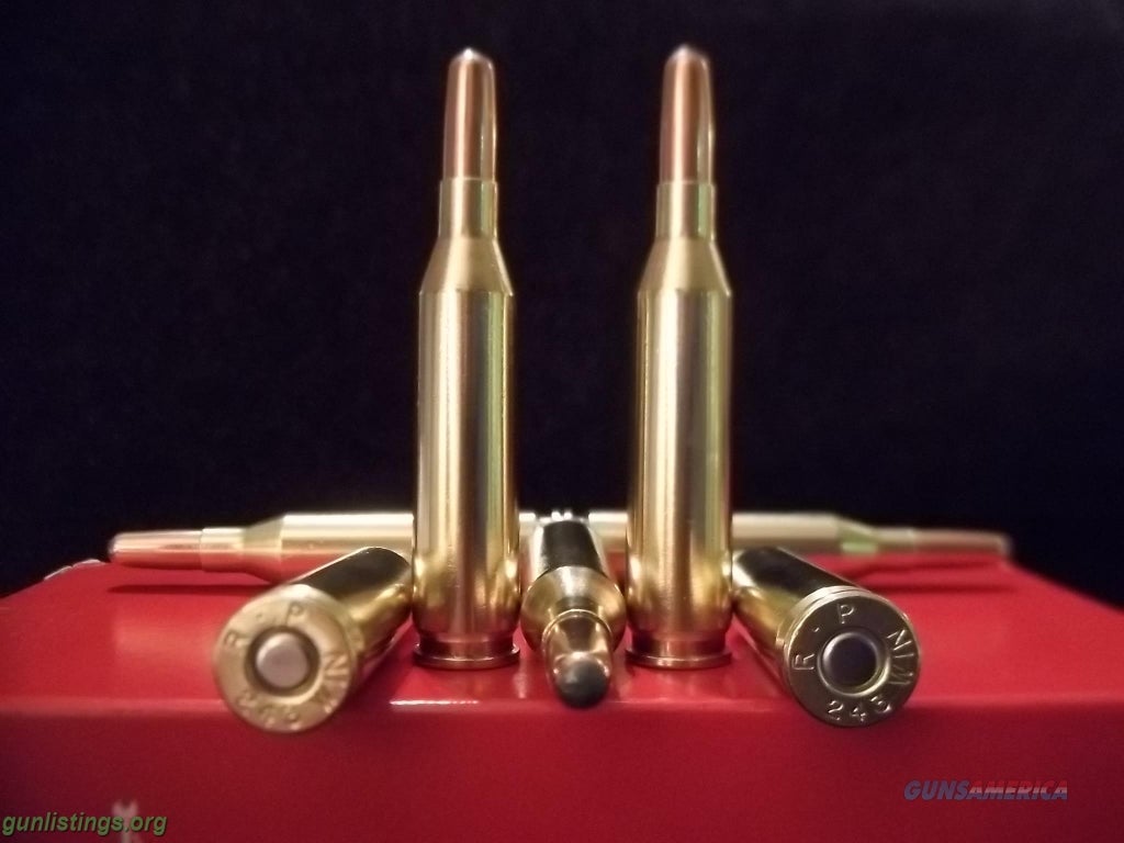 Ammo 243 Winchester Ammo.