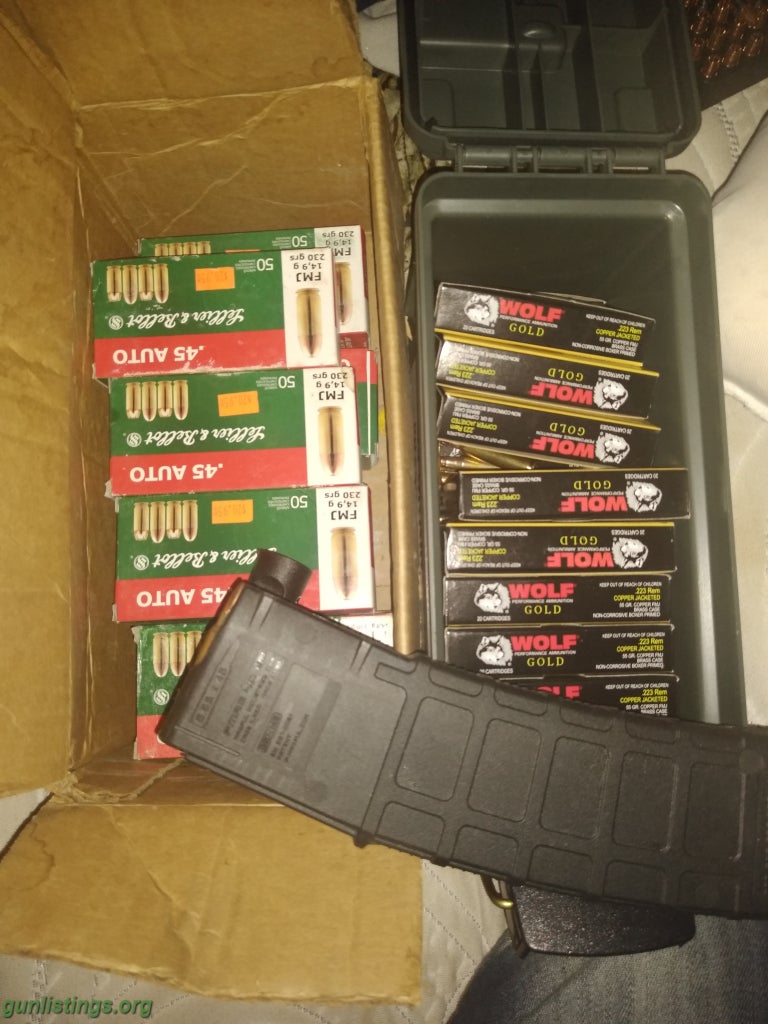 Ammo Ammo And Magazine